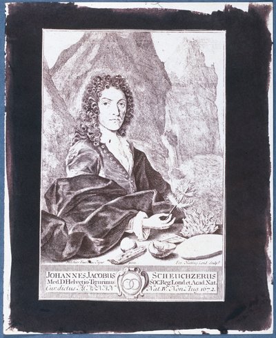 Johann Jakob Scheuchzer by Swiss School